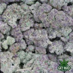 Tropicanna Haze