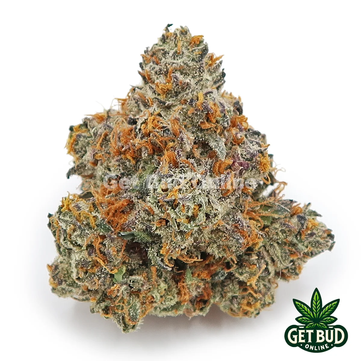 Zaburst Top Shelf 1 Zaburst