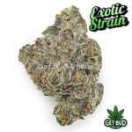 Blue Velvet (Exotic Reserve Strain) 💎🔥