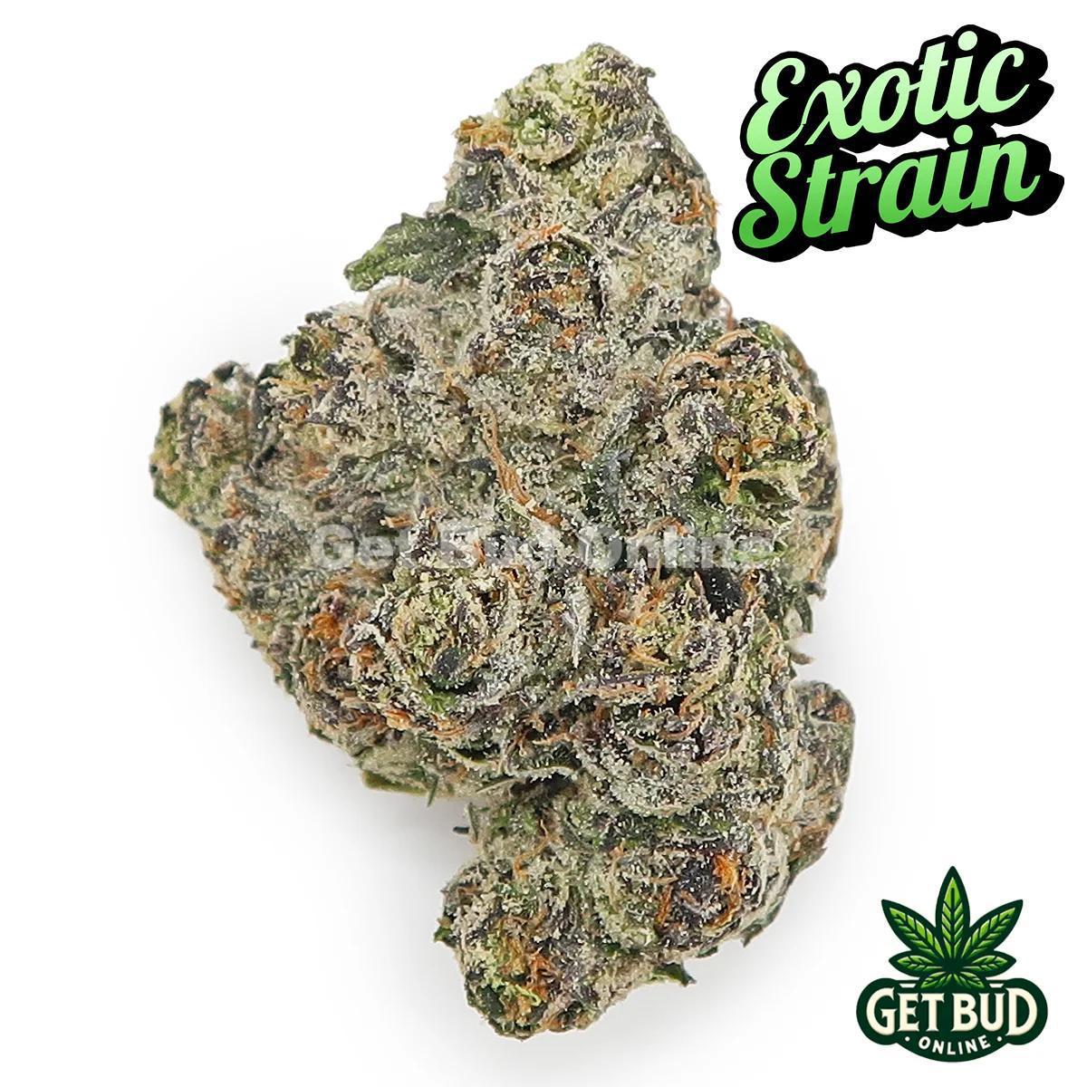 Blue Velvet (Exotic Reserve Strain) 💎🔥