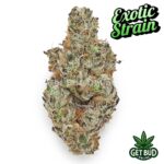 FKAFL (Exotic Reserve Strain) 💎🔥