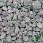 Tropical Berry (Small Buds) Ounce Deal