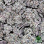 Purple Reign (Exotic Reserve Strain) 💎🔥 - Image 4