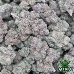 Cherry Bomb (Value Plus+ Bud) - Image 3