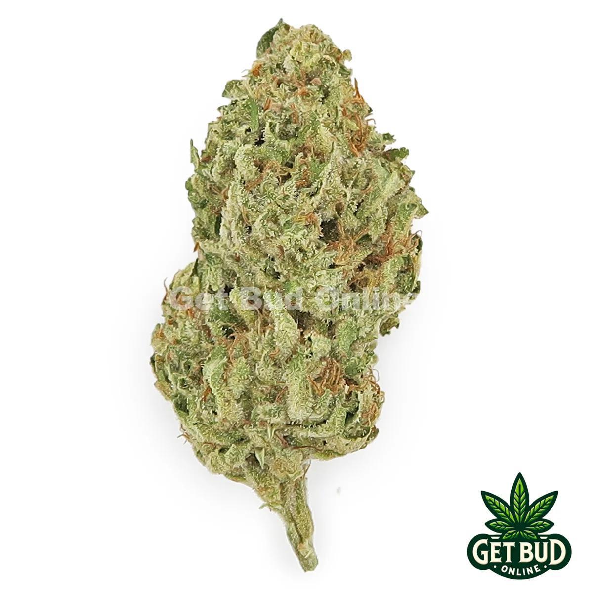 Super Cheese (Value Bud)