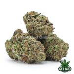 Blue Gelato (Value Bud) - Image 2