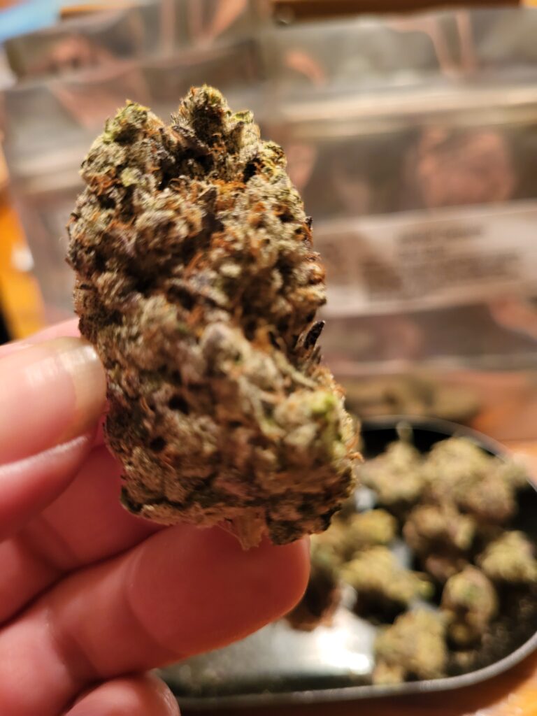 Image #2 from Angela Bain