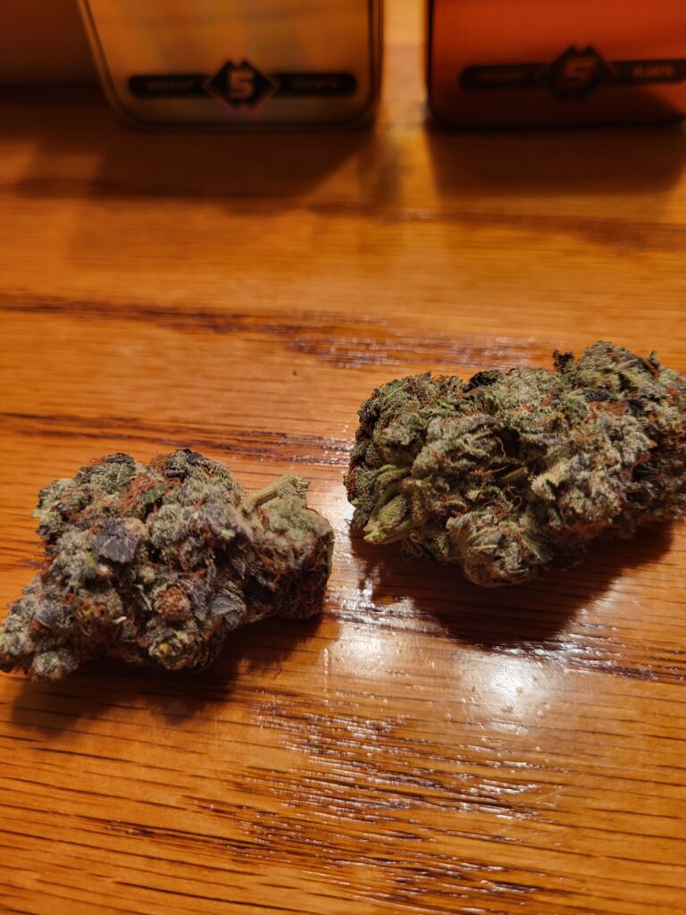 Image #1 from Angela Bain