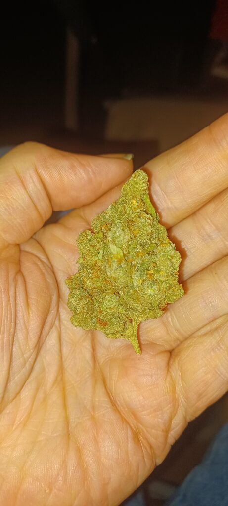 Image #1 from Terry McCowan