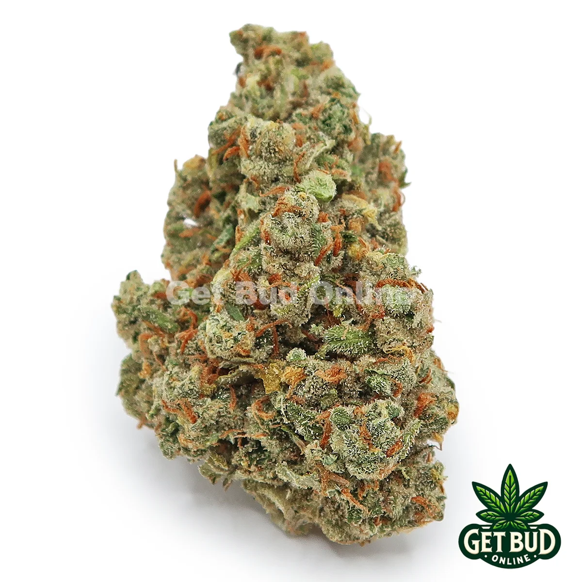 Jack Herer Top Shelf 1 Jack Herer