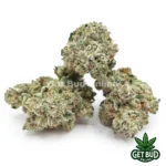 Pineapple Hindu Z