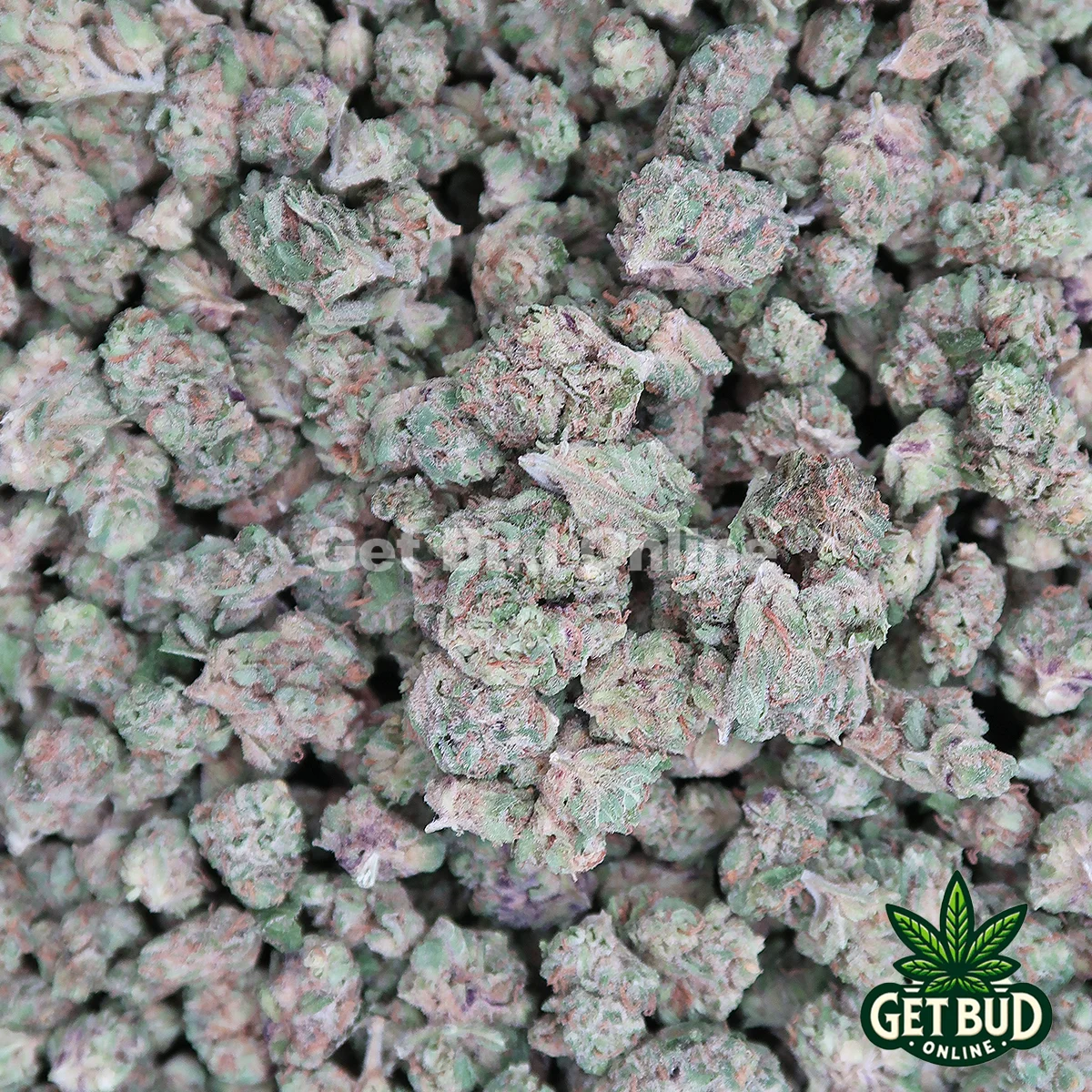 Rocket Fuel Smalls GBO Rocket Fuel