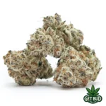 Singapore Sling (Exotic Reserve Strain)