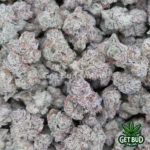 Singapore Sling (Exotic Reserve Strain)