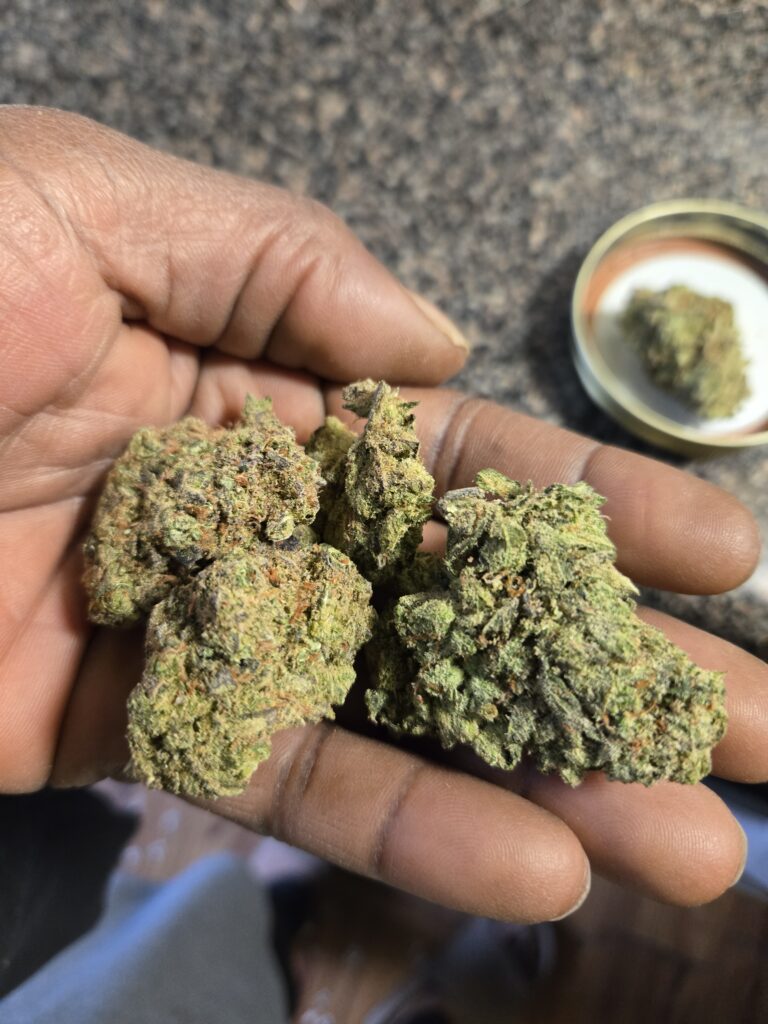 Image #2 from Gregory Cooper