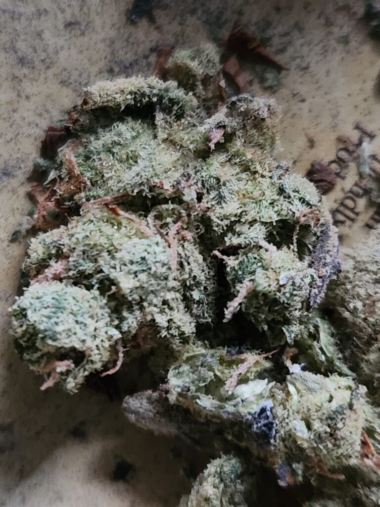 Image #2 from James Haynes