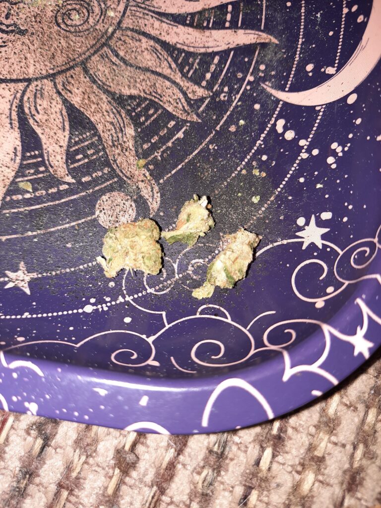 Image #1 from Jason Williams