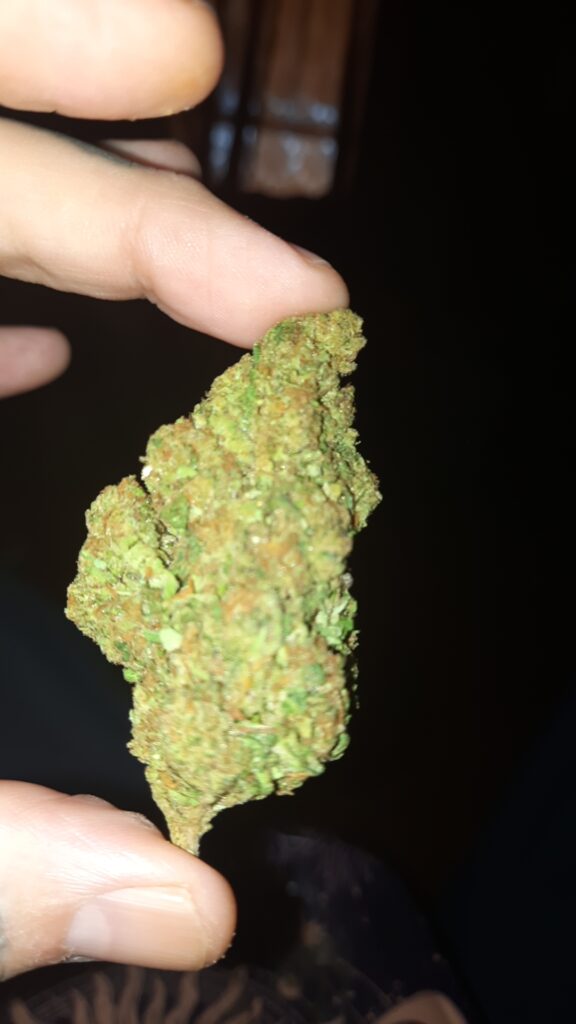 Image #1 from Jason Williams