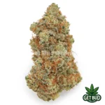 Arctic Blue (Value Plus+ Bud)