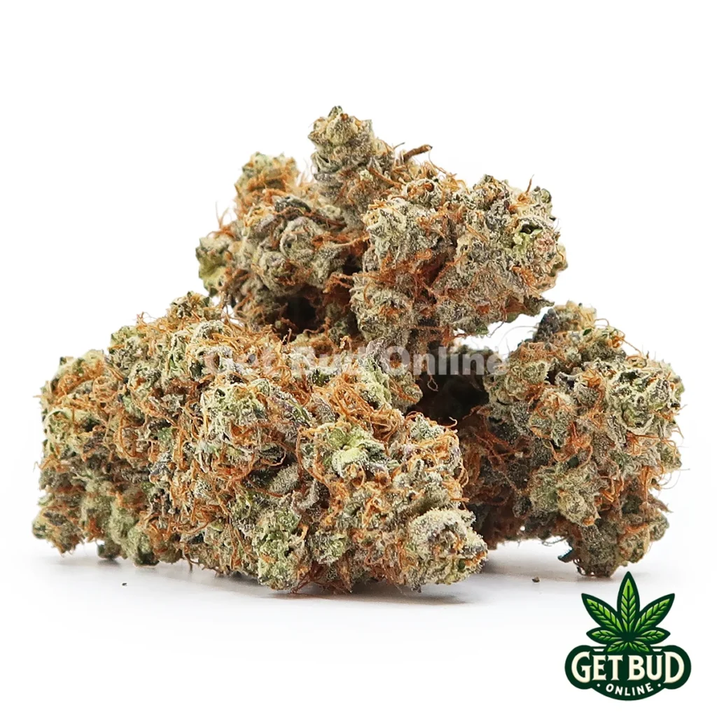Arctic Blue (Value Plus+ Bud)