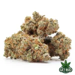 Arctic Blue (Value Plus+ Bud)