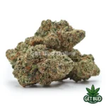 Cherry Gelato (Value Plus+ Bud)