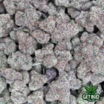 Cherry Gelato (Value Plus+ Bud)