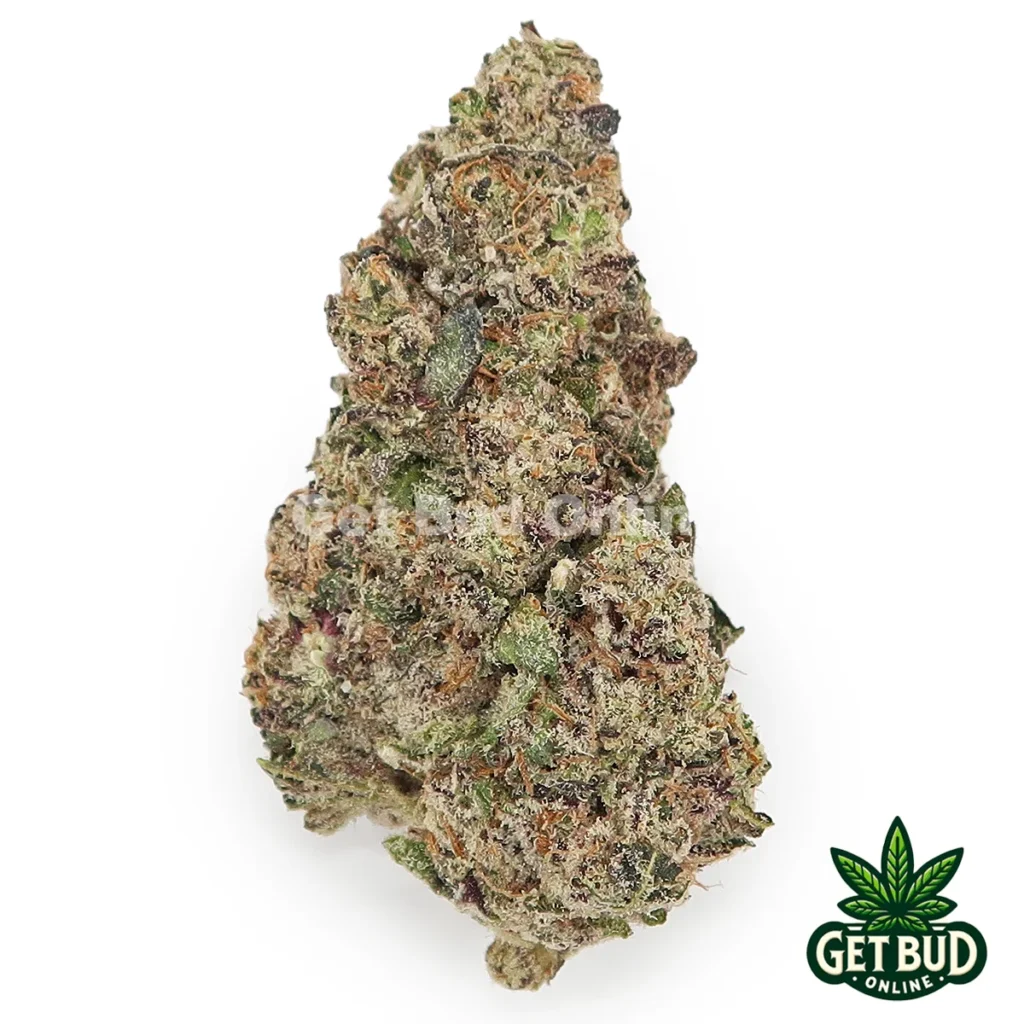 Donnie Burger (Top Shelf Bud)