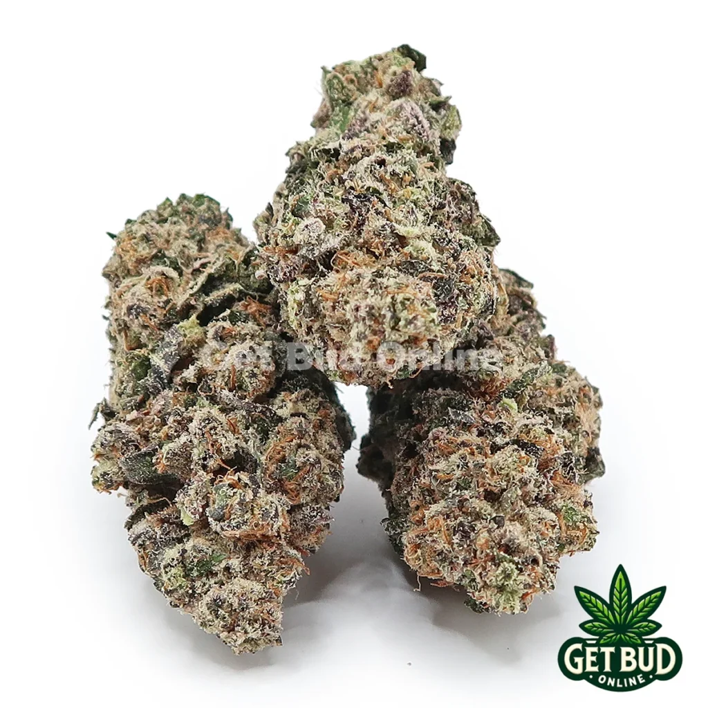 Donnie Burger (Top Shelf Bud)