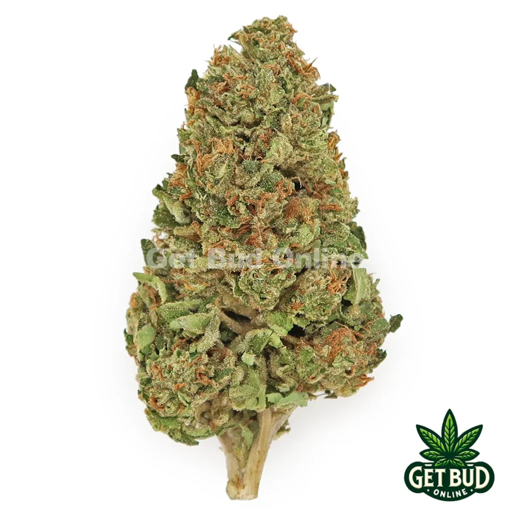 Gaslato (Value Bud)