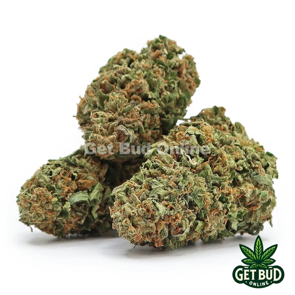 Gaslato (Value Bud)