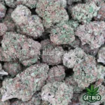 Gaslato (Value Bud)
