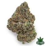 Gelato 47 (Value Plus+ Bud)