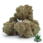 Gelato 47 (Value Plus+ Bud)