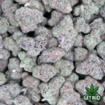 Gelato 47 (Value Plus+ Bud)