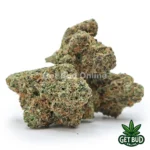 Lemon Cherry Sherb (Value Plus+ Bud)