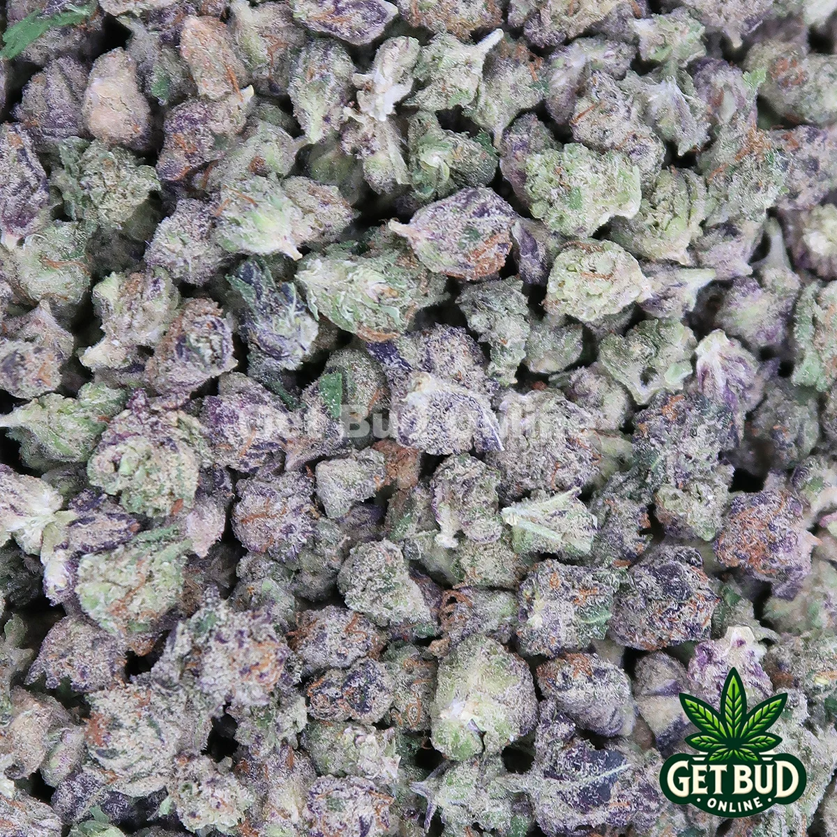 Slurricane Micros Slurricane (Micro Buds)