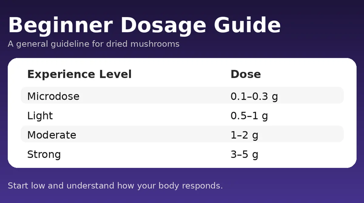 Beginner Dosage Guide