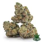 Biscotti Gelato (Premium Bud)