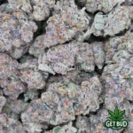 Biscotti Gelato (Premium Bud)