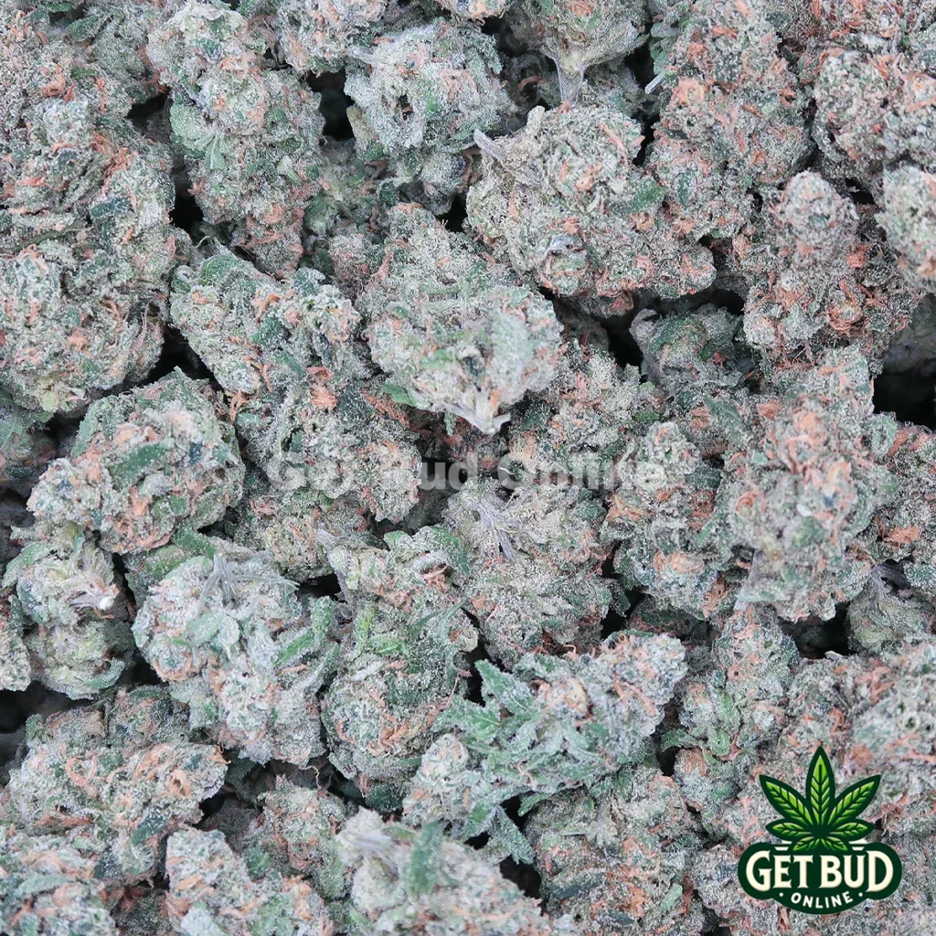 Blue Dream (Top Shelf Bud)