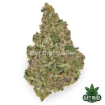 Bubblegum Diesel (Premium Bud)