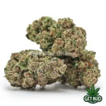 Bubblegum Diesel (Premium Bud)