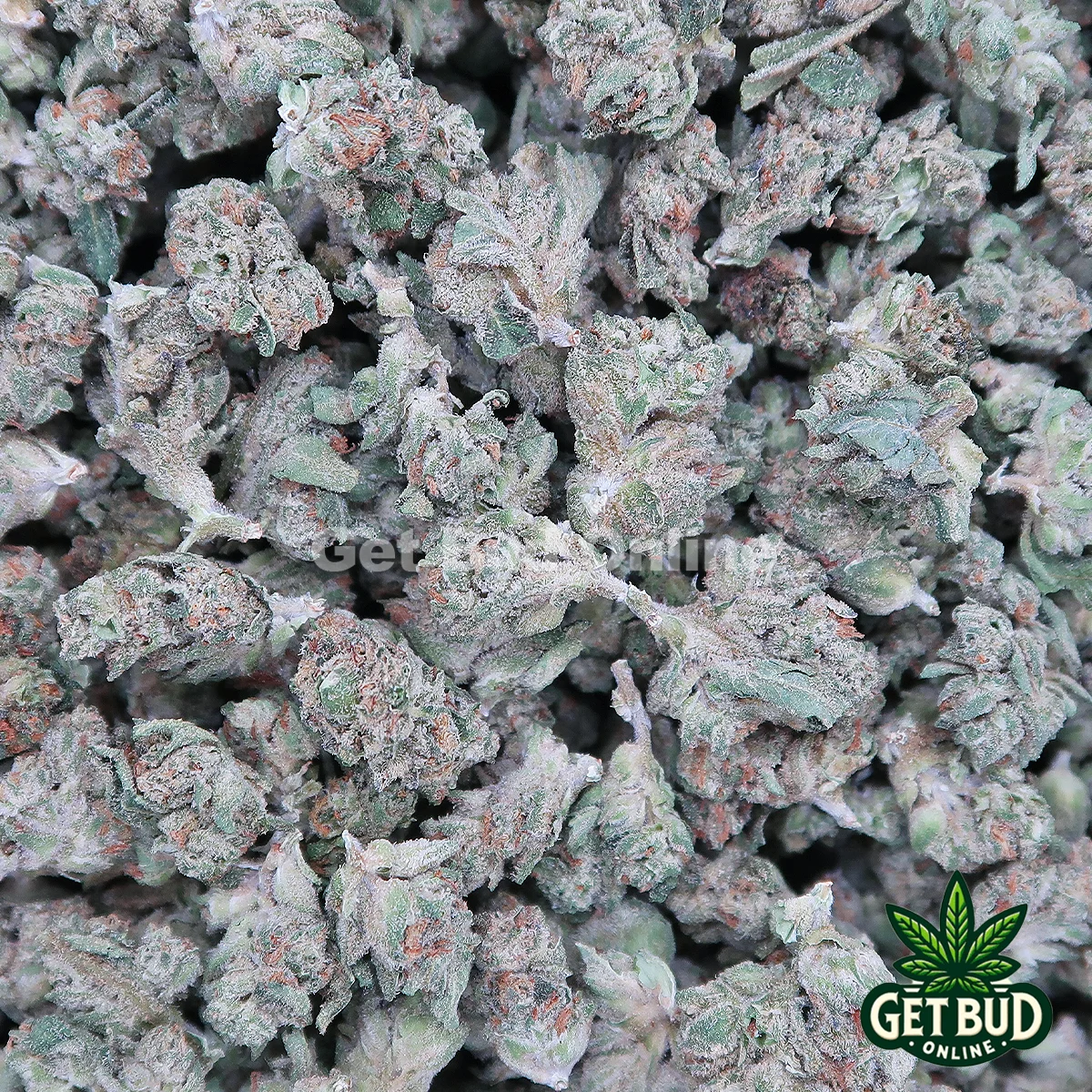 Frosted Donut Smalls GBO Frosted Donut (Small Buds) 🔥 Ounce Deal 🔥 - Image 1