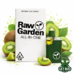 Raw Garden 1g Live Resin Disposable Vape - Kiwi Dream