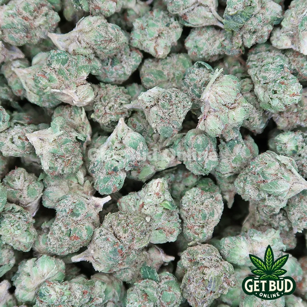 Gelato 41 (Small Buds) Ounce Deal