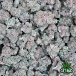 Sour Tangie (Small Buds) Ounce Deal