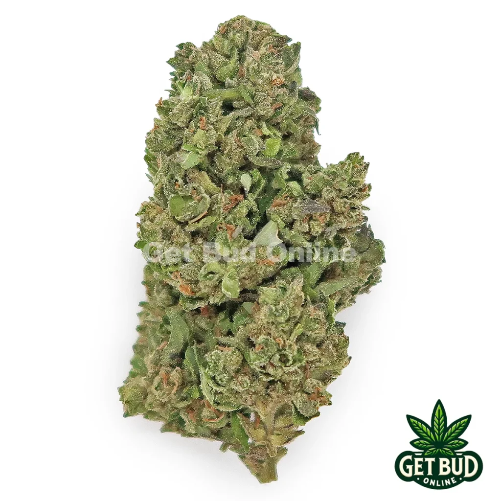 Tangie Cookies (Value Bud)