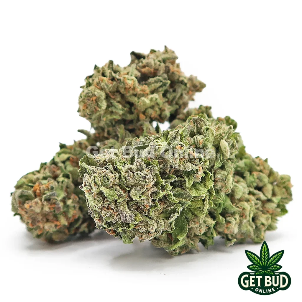 Tangie Cookies (Value Bud)
