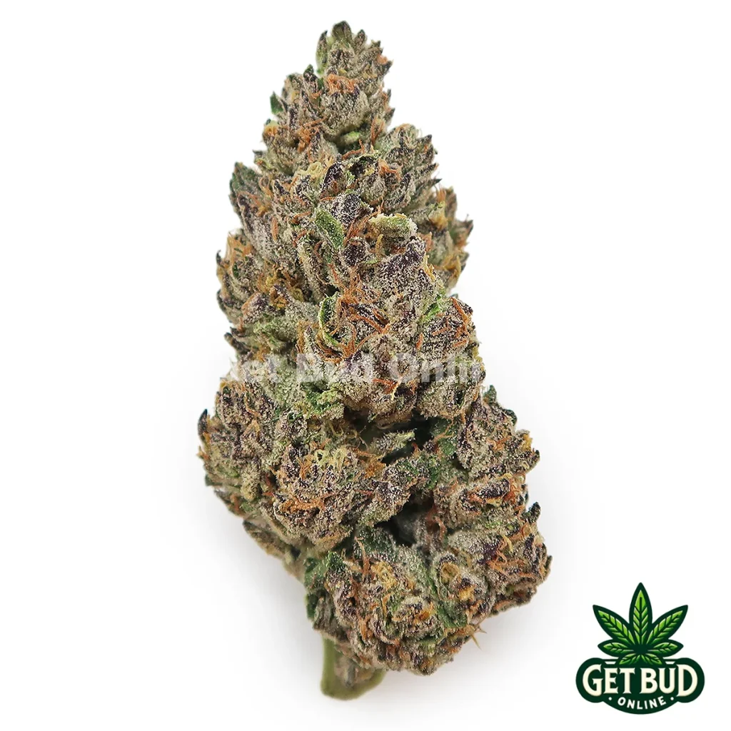 Trufflato (Value Buds)